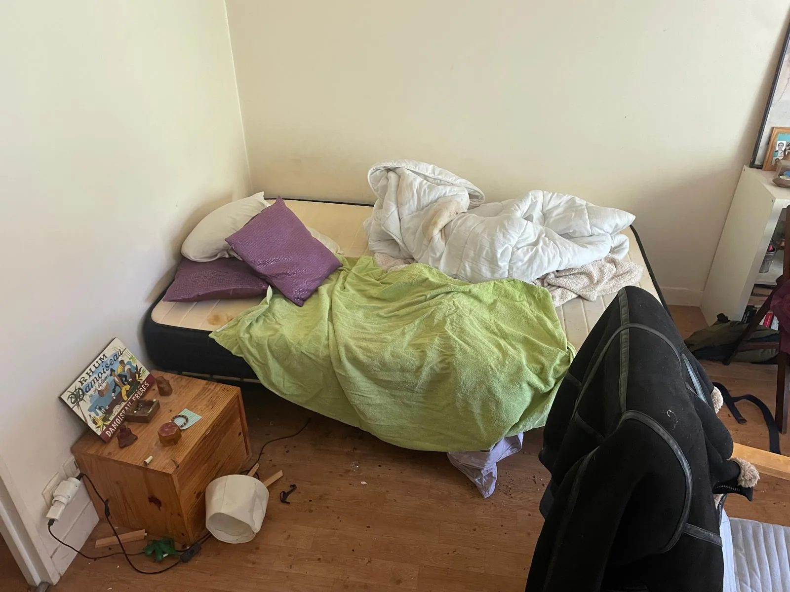 L’entreprise peut-elle intégrer le nettoyage des parties communes dans son offre ? Focus sur SOS DC à Issy-les-Moulineaux et ses environs L’entreprise peut-elle intégrer le nettoyage des parties communes dans son offre ? Focus sur SOS DC à Issy-les-Moulineaux et ses environs