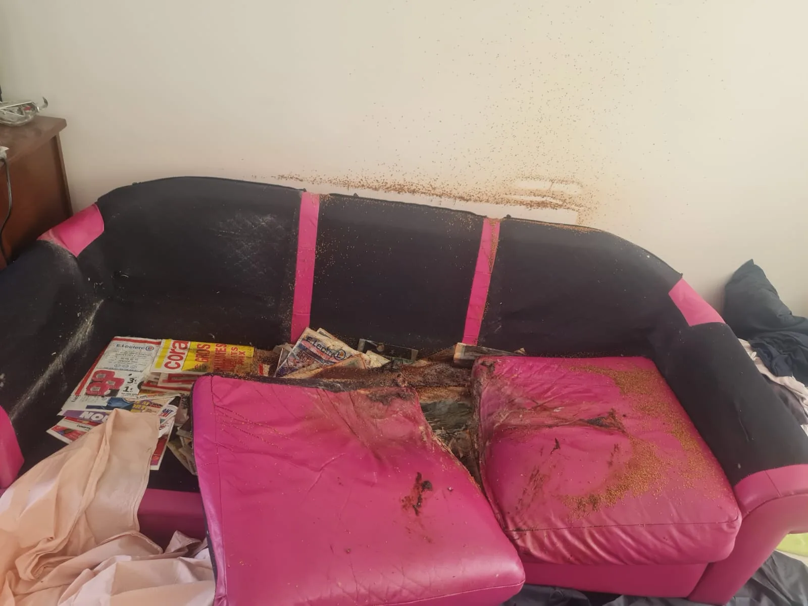 Quelles différences concrètes entre un nettoyage après décès “classique” et un décès dans un logement Diogène à Issy-les-Moulineaux et ses environs