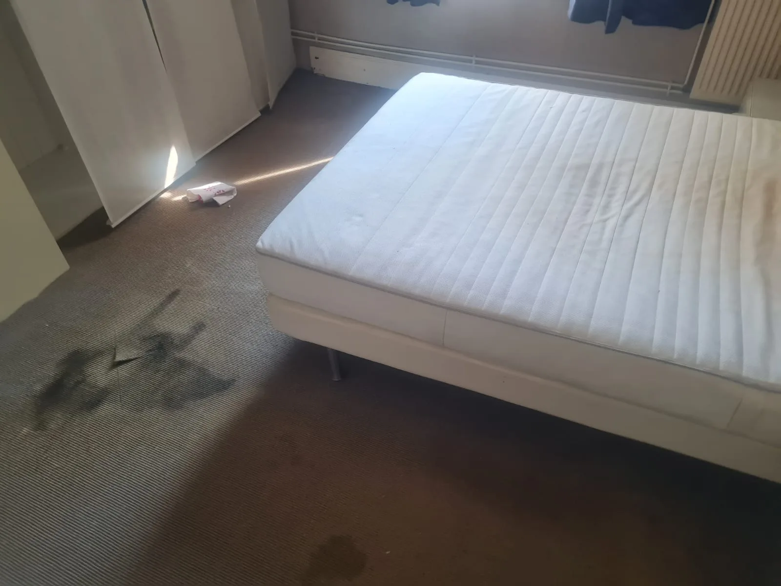 Comment prioriser les pièces quand tout l’appartement est à reprendre après décès et Diogène : guide pratique à Issy-les-Moulineaux